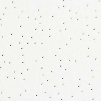 USG Perforated 2