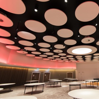 Ecophon Saint Gobain akustik panellər 5
